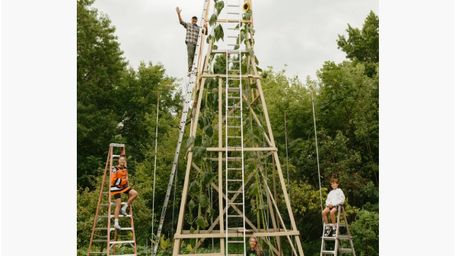 With prayers and a little luck, this family grew the world’s tallest sunflower