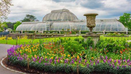 Kew Gardens and Schneider Electric: A Bold Step Toward Climate Positivity