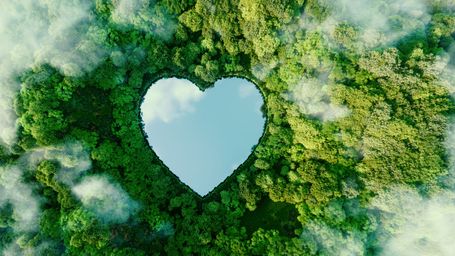 How Social Impact Comes to Life