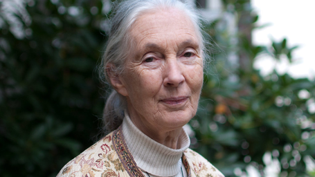 Jane Goodall - She made the world better by being in it