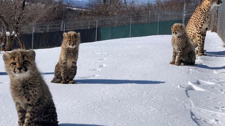 What a Snowy Week Can Teach Us About Resilience