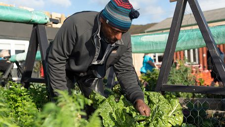 Becoming the 'Gangsta Gardener'