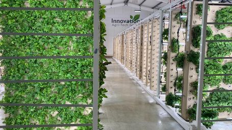 The future of farming? Straight up...
