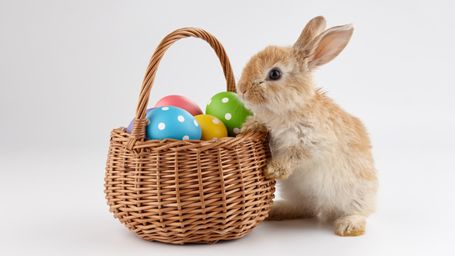 Jamestown teen, community provide 850 Easter baskets for less fortunate children