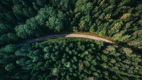 5 ESG concerns for corporate boards with a social conscience