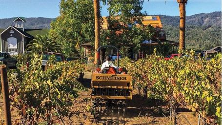 The U.S. Wineries Pursuing Radical Sustainability