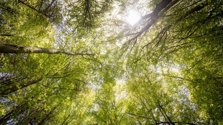 The European Commission Unveils New Sustainable Finance Package