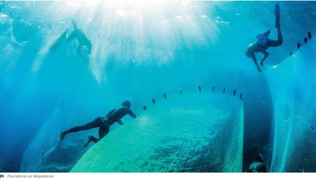 Lanzan iniciativa mundial para acabar con la basura marina y limpiar los océanos