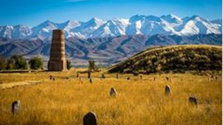 Xinjiang company helping Central Asian, African countries save water