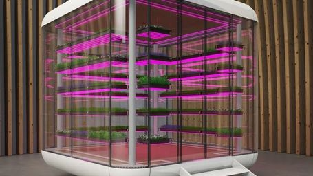 First serially produced walk-in climate greenhouse