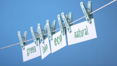 Greenwashing: Risks and Outcomes