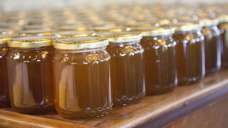 What we can learn about and from bees!