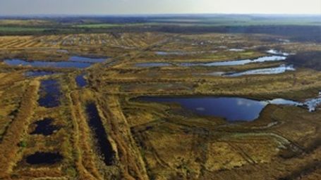PEAT BAN ANNOUNCED IN ENGLAND