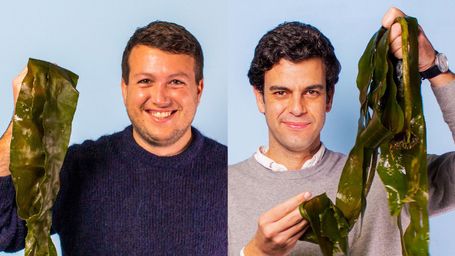 Meet the inventors ‘on a mission to make plastic disappear’ – with seaweed