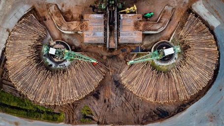 The promise of batteries that come from trees