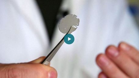 Ultimate green hydrogen: ‘Artificial leaf’ can make fuel from thin air and sunshine