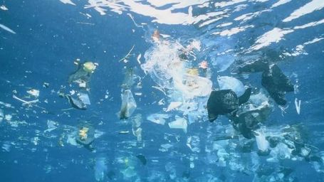 Oceans littered with 171 trillion plastic pieces