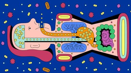 How food affects the mind, as well as the body
