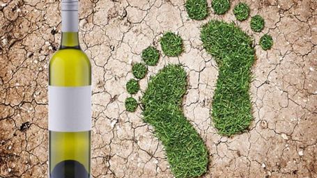6 tendências que impactam o mundo dos vinhos