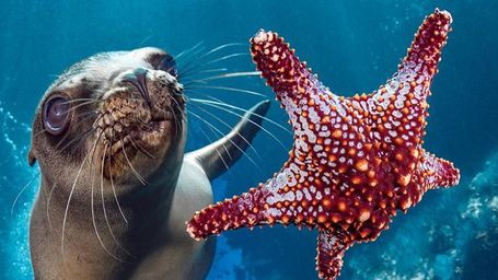 World Oceans Day - 8 June 2023