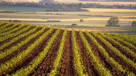 ResponsAbility Raises $106 Million for Climate-Focused Food and Agriculture Strategy