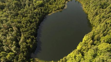 Scientists claim a new epoch, the Anthropocene, marked by human impact began in 1950s