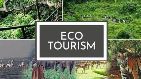 Eco-Tourism: Unveiling the Environmental and Socioeconomic Benefits of Responsible Travel