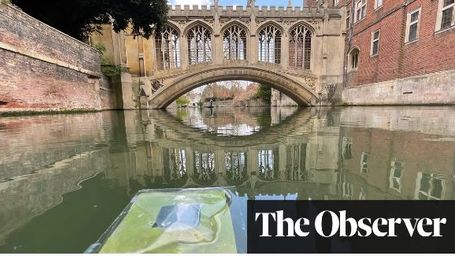 Floating factories made from artificial leaves could produce green fuel for jets and ships | Greenhouse gas emissions