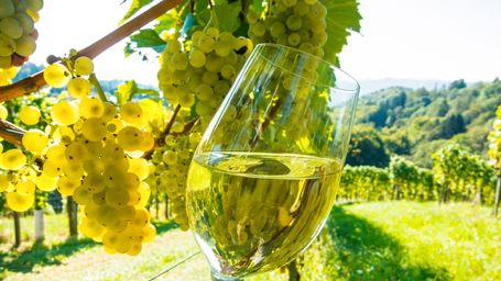 UNWTO GLOBAL CONFERENCE ON WINE TOURISM IN LA RIOJA, SPAIN: FORGING THE FUTURE OF SUSTAINABLE WINE TOURISM