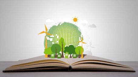 How to invest in sustainability education for corporate boards, execs and employees