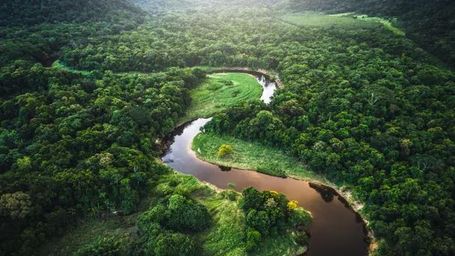Could 2024 be the year nature rights enter the political mainstream?