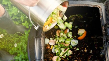 12 new year’s resolutions for sustainable living