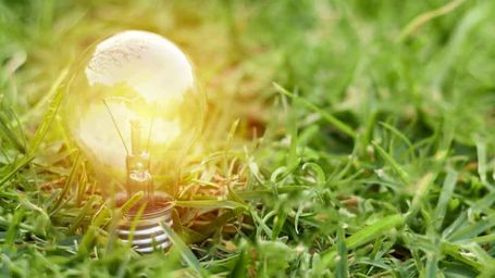 11 Green Innovations To Spark Your Imagination & Cool Your Eco-Anxiety