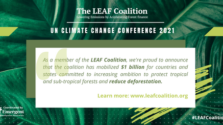 INTERTEK JOINS THE LEAF COALITION GLOBAL INITIATIVE TO PROTECT TROPICAL FORESTS, FURTHERING ITS COMMITMENT TO A NET-ZERO FUTURE