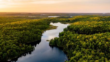 The World’s Biggest Investors Get Louder About ESG