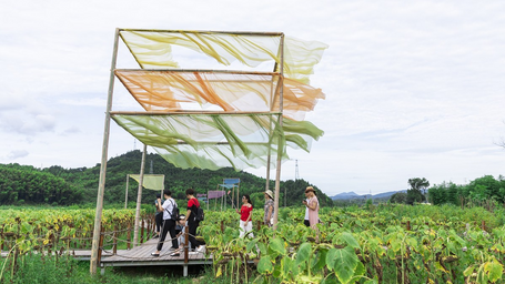 China Artists use recycled agricultural waste to decorate village