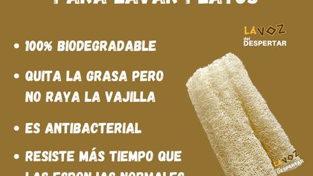Luffa