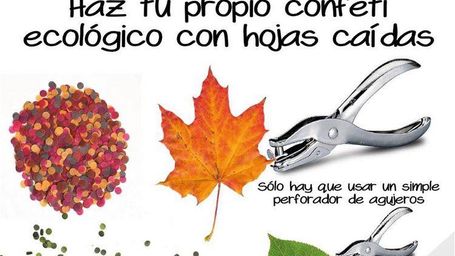 Confeti, vuelves a mi