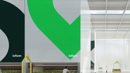 I Shop at a Vertical Farm