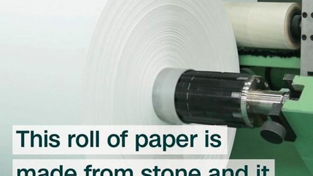 Tree & Water Free Paper