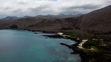 The Galápagos Restoration Project