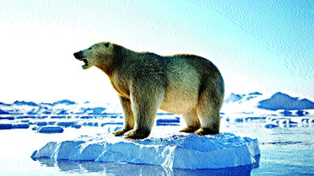 Arctic squabbles must end to ensure eco-balance