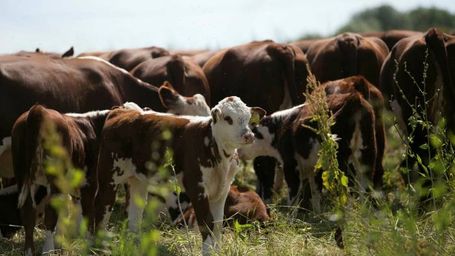 Food industry starts to measure sustainability