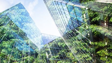 Amazon launches nature-based solutions 'accelerator' to support farmers and cut emissions