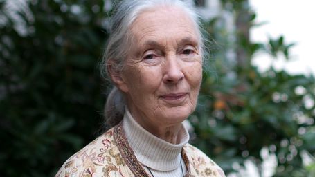 Jane Goodall To Open Asia’s First Conservation Elementary School In Taipei