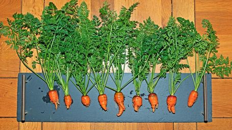Convincing people to buy ‘wonky’ vegetables could help reduce food waste