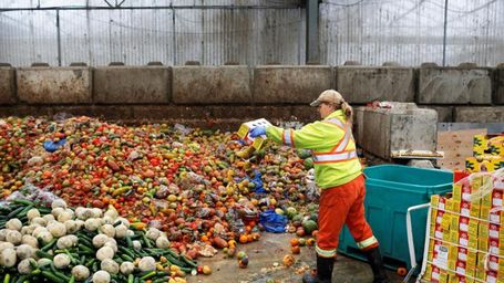 Innovations key to cutting food waste
