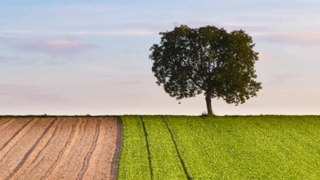 5 Steps to More Sustainable DevOps