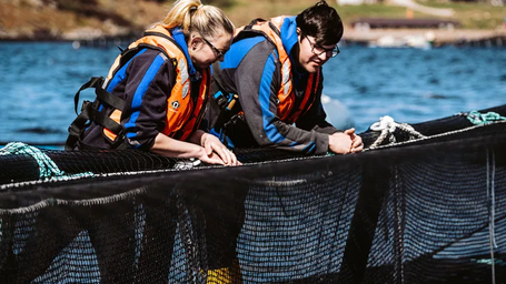 Scottish Sea Farms scoops Aquaculture Sustainability Award