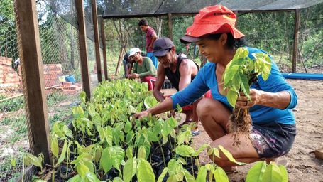 Study shows COVID-19 effects on trade in biodiversity products